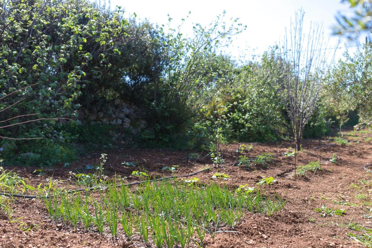 Eden'S Garden Skouloufia Villa Luaran gambar